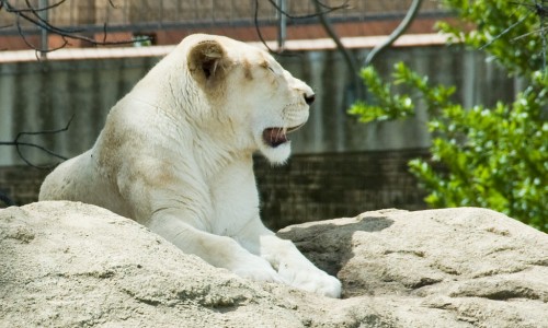 长期拍手有什么好处-每天拍手的好处专区_长期拍手效果会变差吗专区_长期拍手效果网
